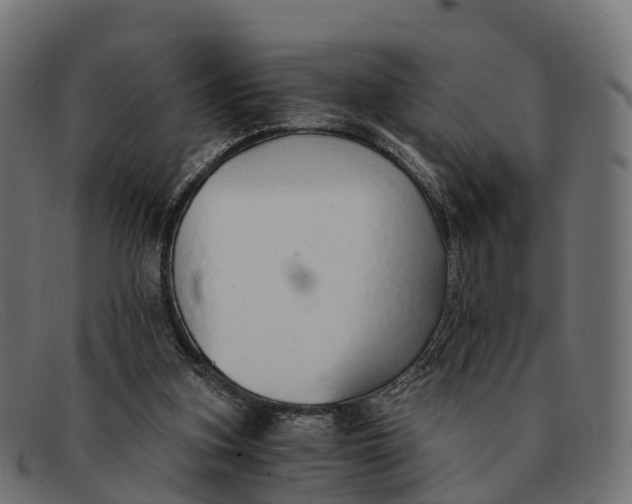 X0000091680155200709131554