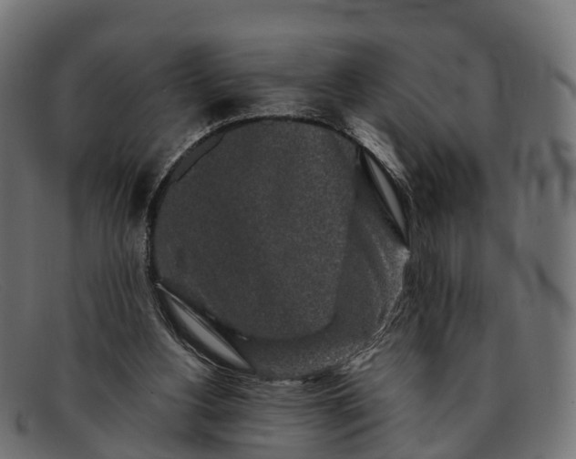 X0000091680156200709131554