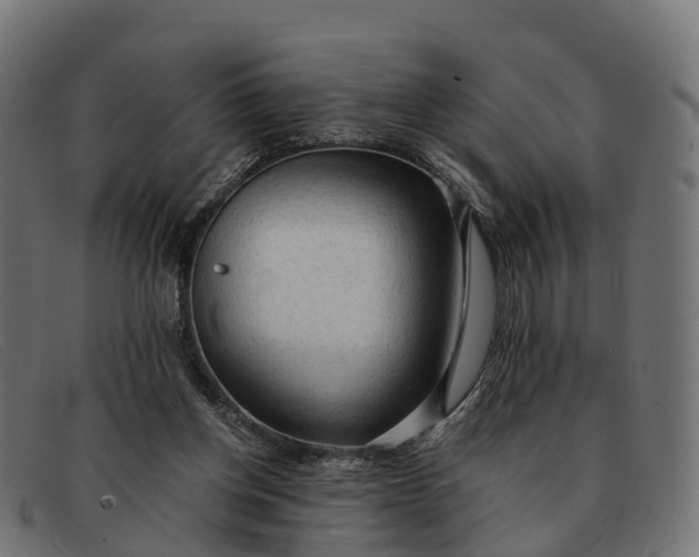 X0000091680158200709131554