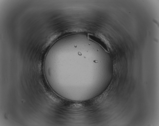 X0000091680159200709131554