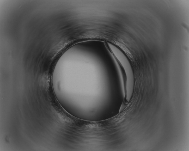 X0000091680160200709131554