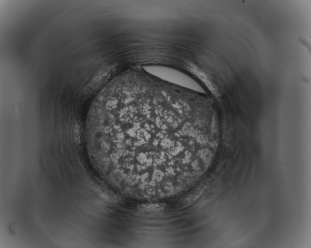 X0000091680161200709131554