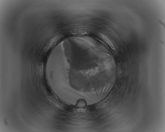 X0000091680163200709131554