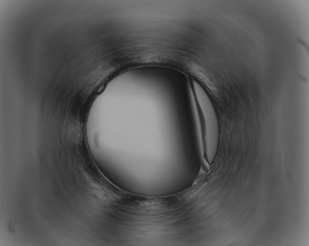 X0000091680164200709131554