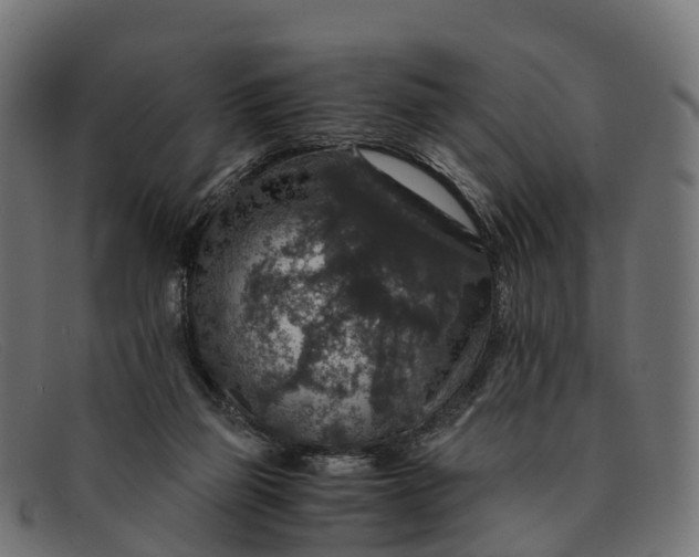 X0000091680165200709131554