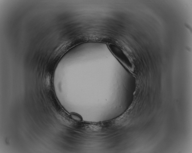 X0000091680166200709131554