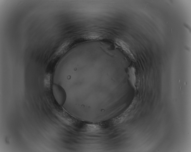 X0000091680167200709131554