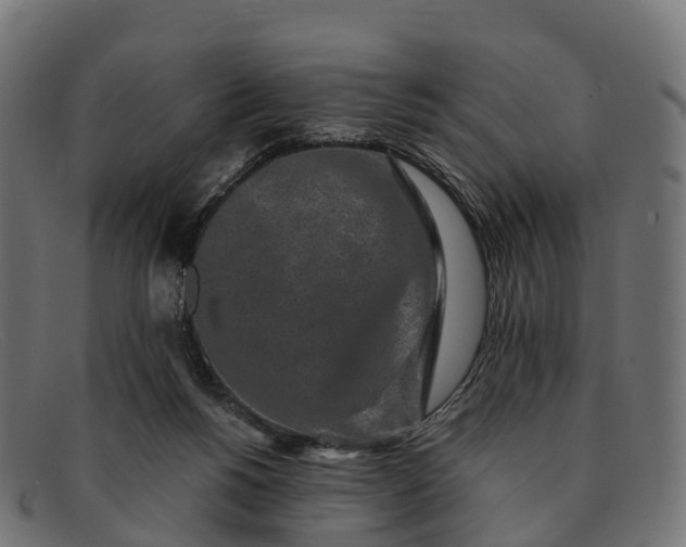 X0000091680168200709131554