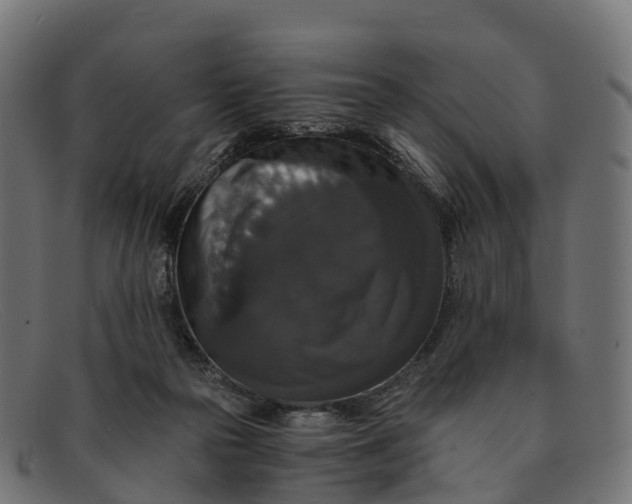 X0000091680169200709131554