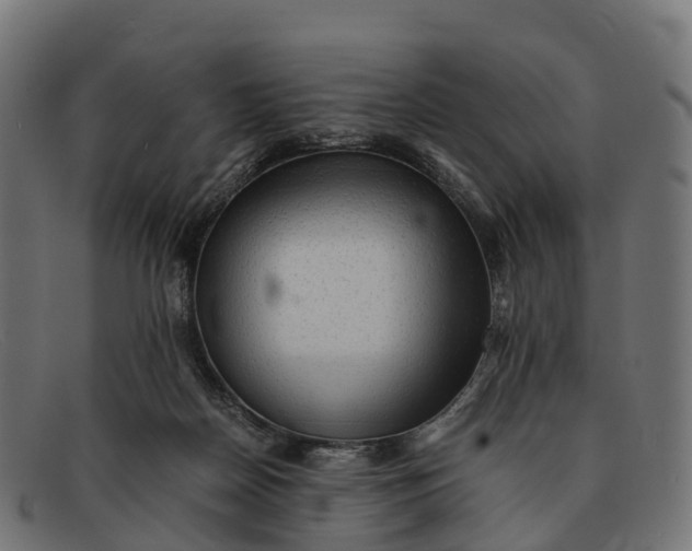 X0000091680170200709131554