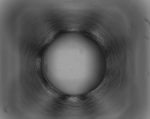 X0000091680171200709131554