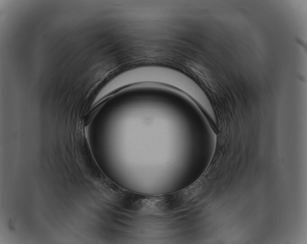 X0000091680172200709131554