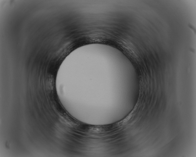 X0000091680174200709131554