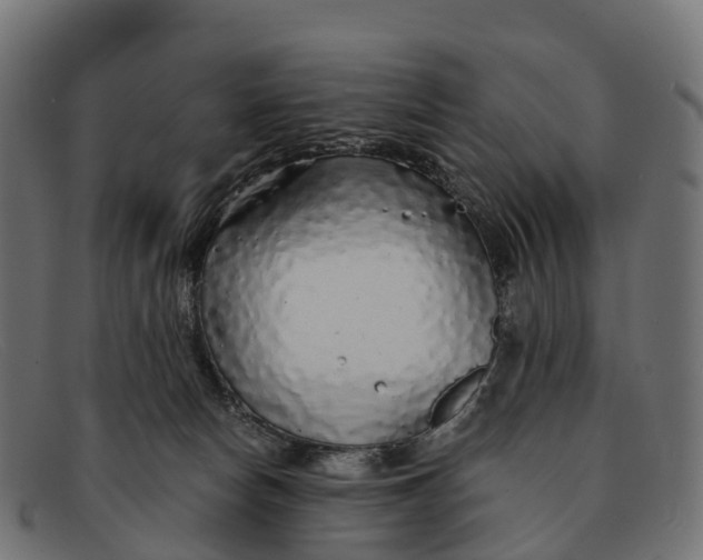 X0000091680178200709131554