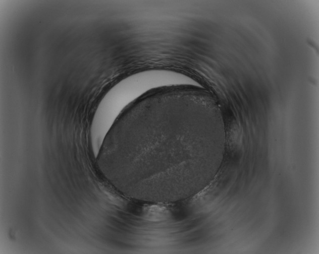 X0000091680180200709131554