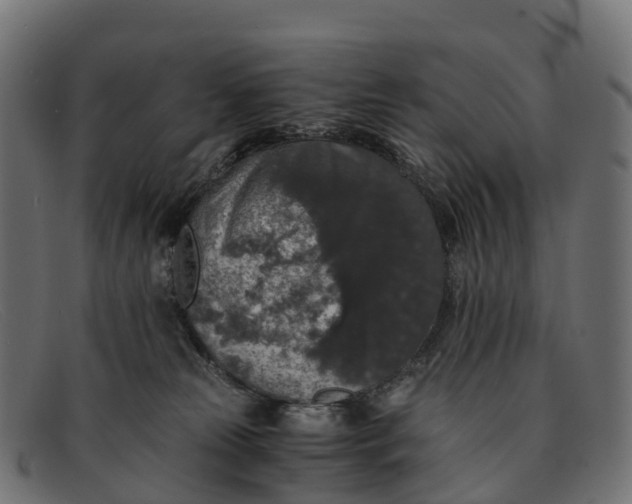 X0000091680181200709131554