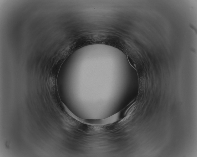 X0000091680184200709131554