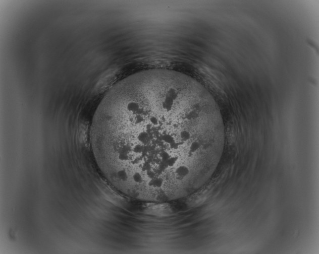 X0000091680185200709131554