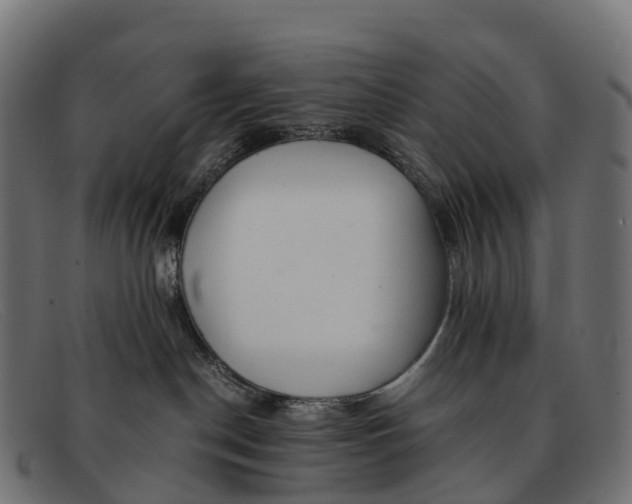 X0000091680190200709131555