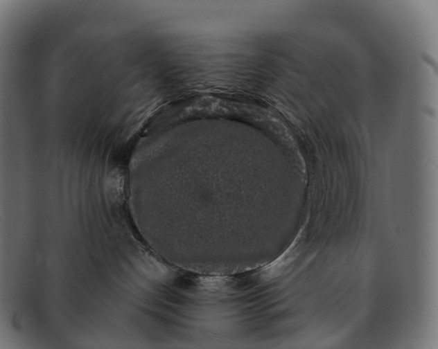 X0000091680192200709131555