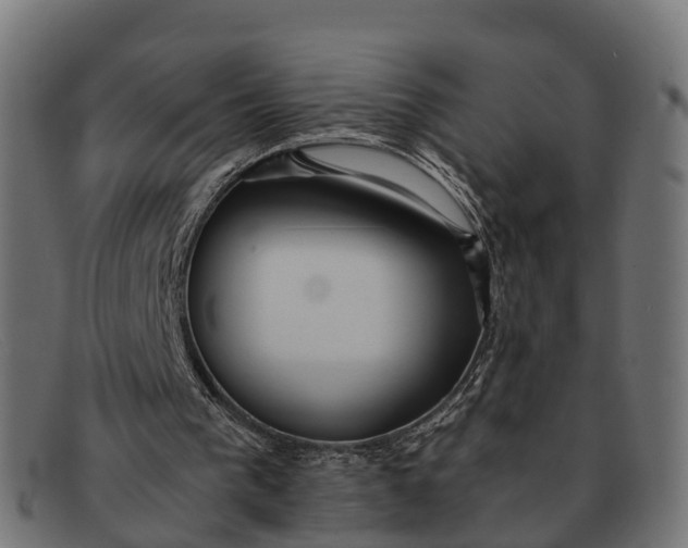 X0000091680193200709131554