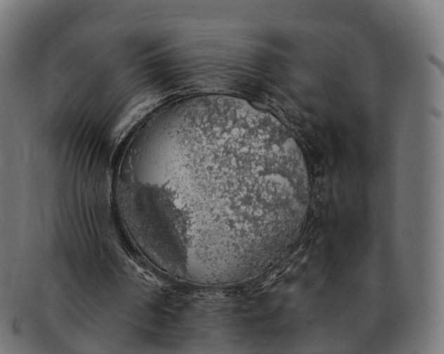 X0000091680194200709131554