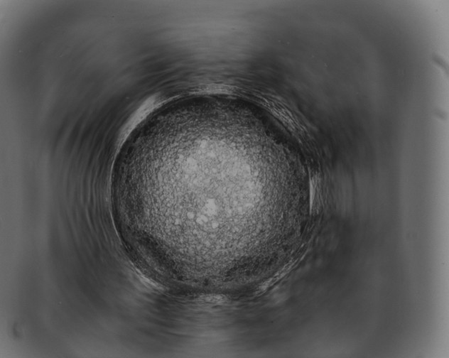 X0000091680195200709131554