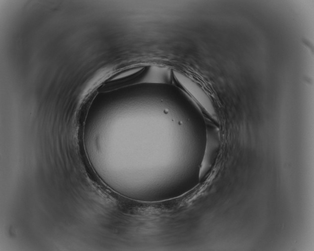 X0000091680197200709131554