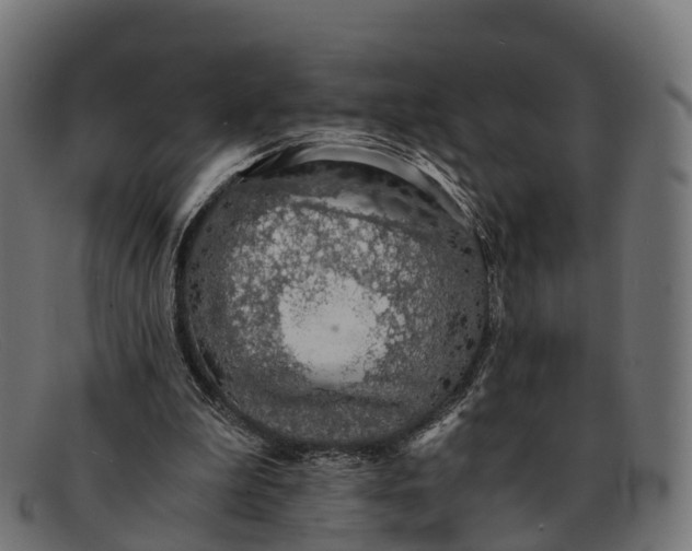 X0000091680199200709131554