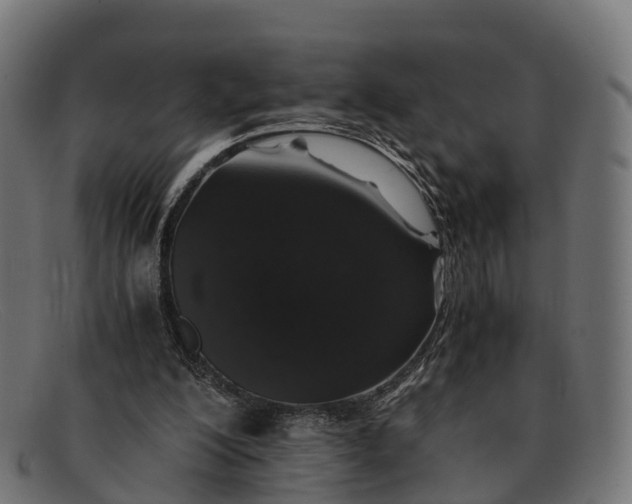 X0000091680200200709131554