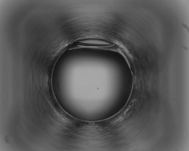 X0000091680201200709131554