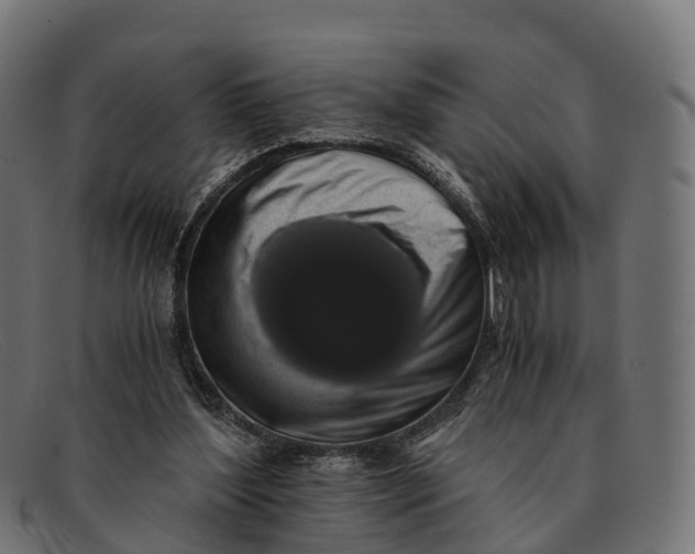 X0000091680204200709131554