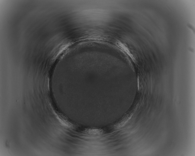 X0000091680205200709131554