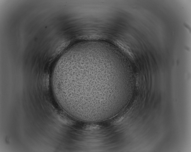 X0000091680206200709131554