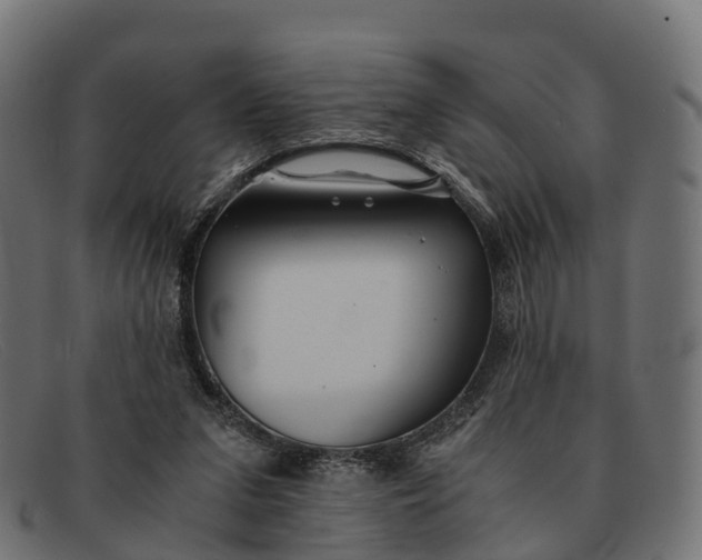 X0000091680207200709131554