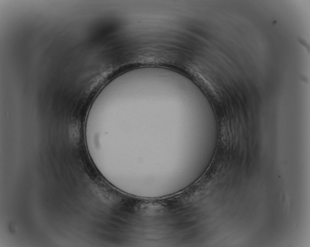 X0000091680208200709131554