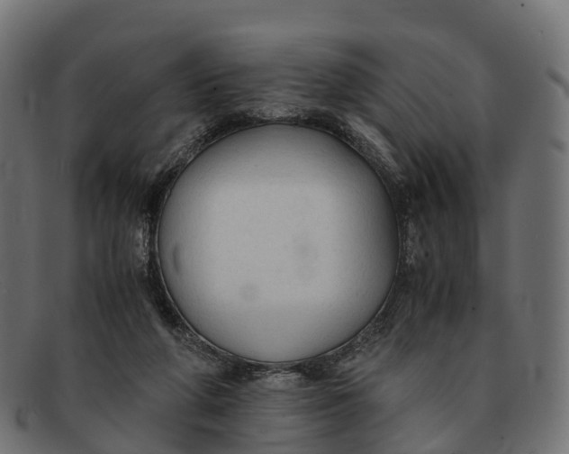 X0000091680210200709131554