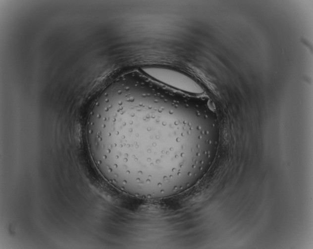 X0000091680211200709131554