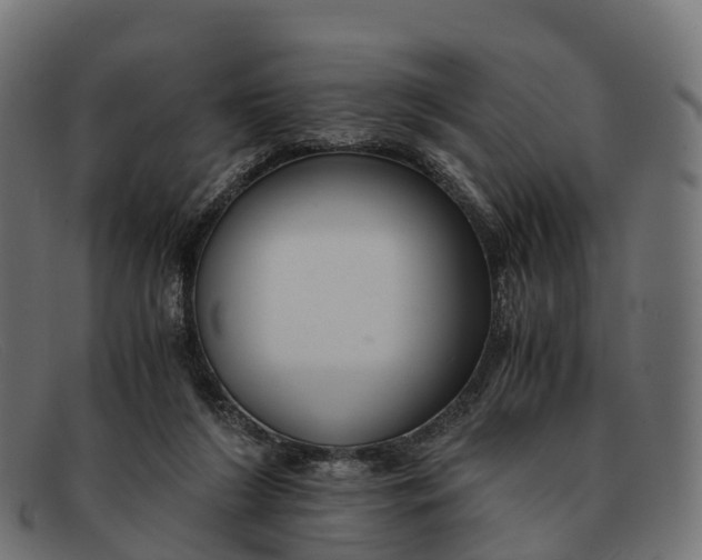 X0000091680212200709131554