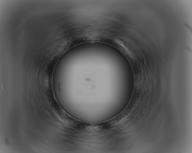 X0000091680213200709131554