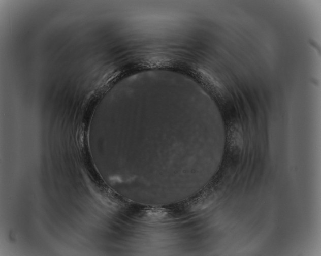 X0000091680214200709131554