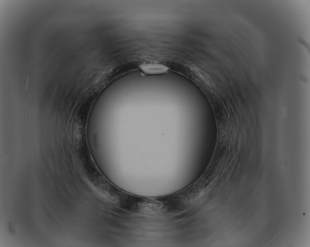 X0000091680215200709131554