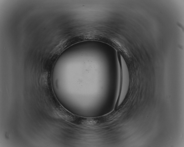 X0000091680217200709131554