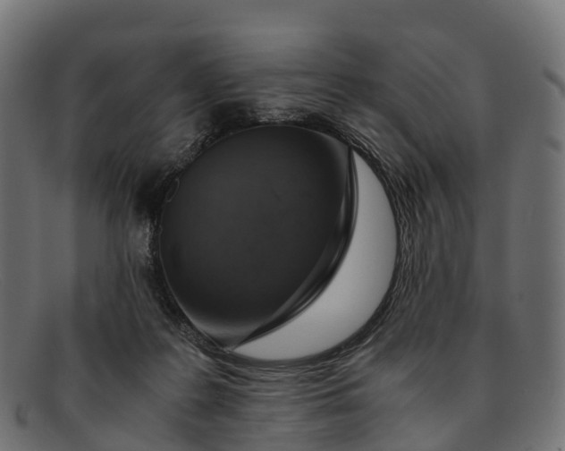 X0000091680219200709131554