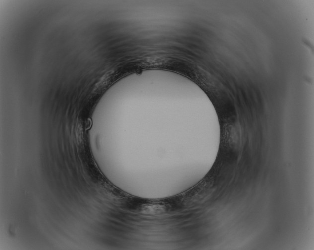 X0000091680220200709131554