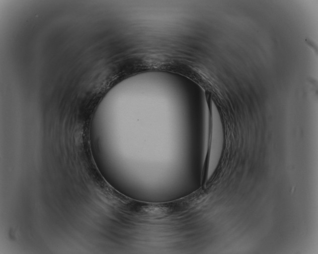 X0000091680221200709131554