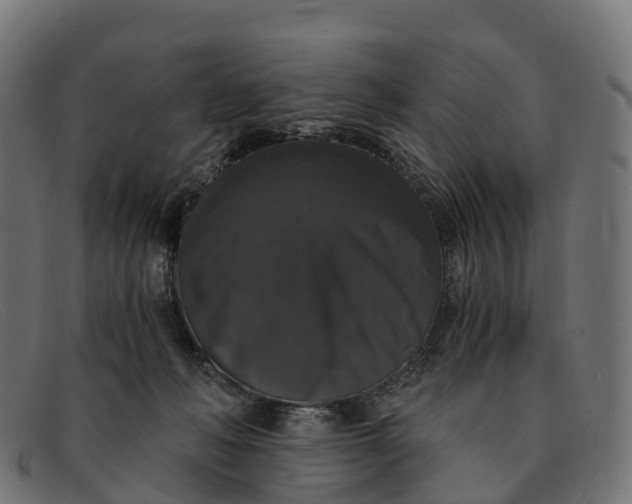 X0000091680222200709131554