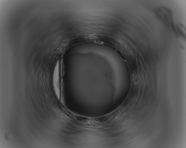 X0000091680223200709131554