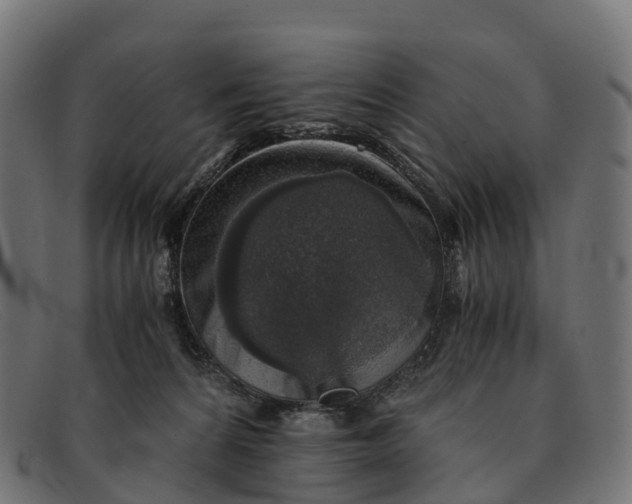 X0000091680224200709131554