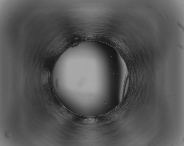 X0000091680225200709131554